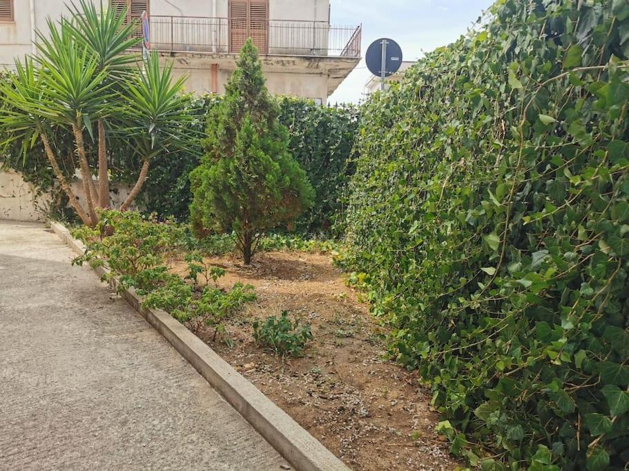 Casa Vacanze Manzoni - Giardino In Pieno Centro Villa Terrasini Exteriör bild